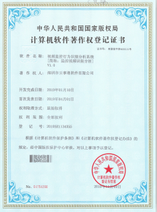 视频监控行为识别分析系统