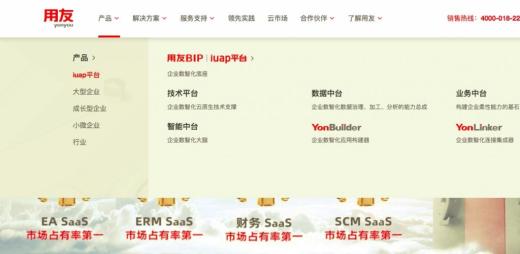 用友网络科技股份有限公司网站SEO实例分析